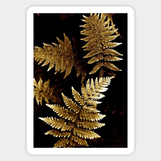 "frosted" ferns Sticker by lastgasp